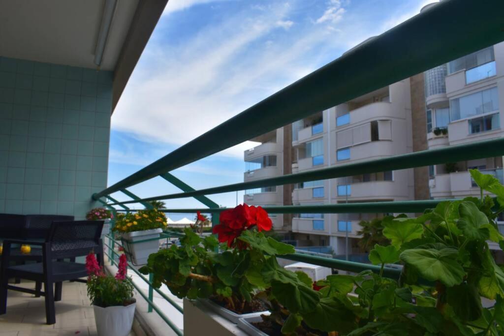 Donna Teresa Accomodation - Holiday House 莫诺波利 外观 照片